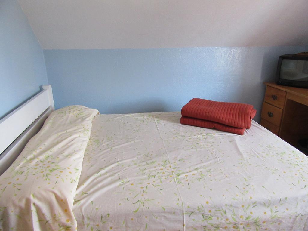 Turtle Hostel Victoria Extérieur photo