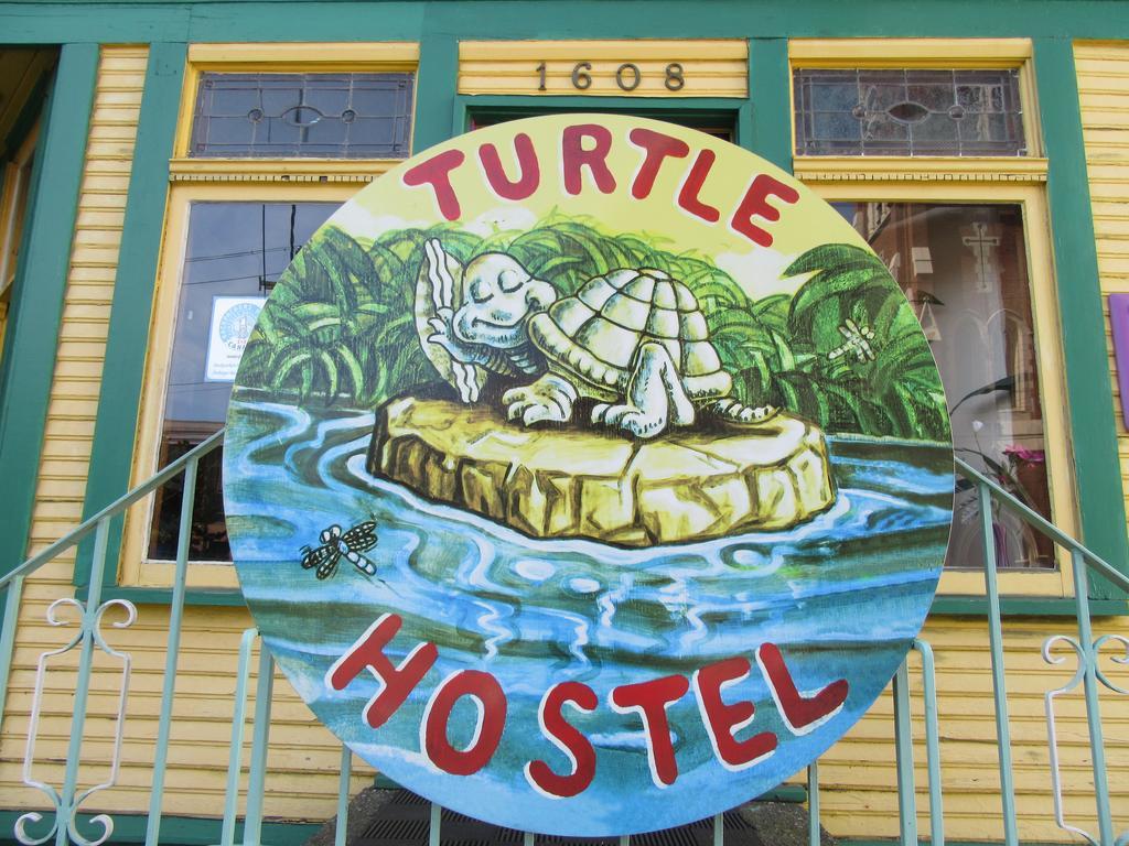 Turtle Hostel Victoria Extérieur photo