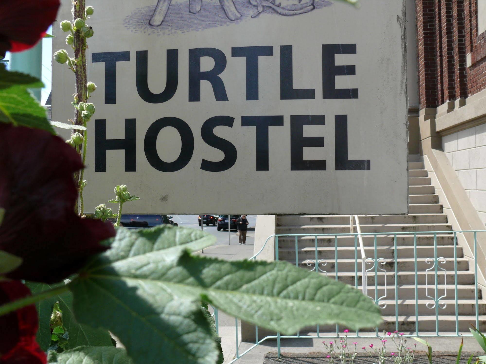 Turtle Hostel Victoria Extérieur photo