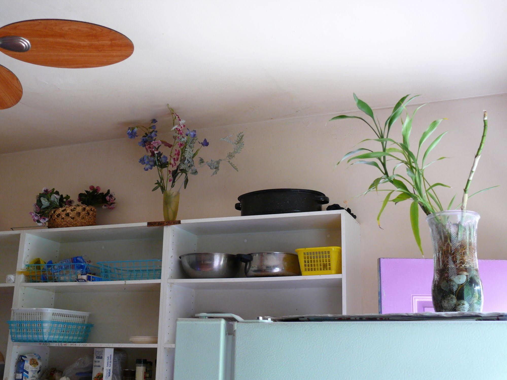 Turtle Hostel Victoria Extérieur photo